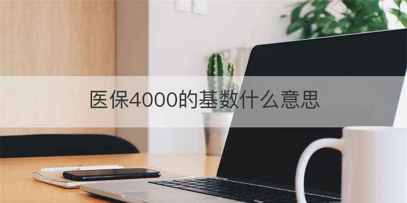 医保4000的基数什么意思