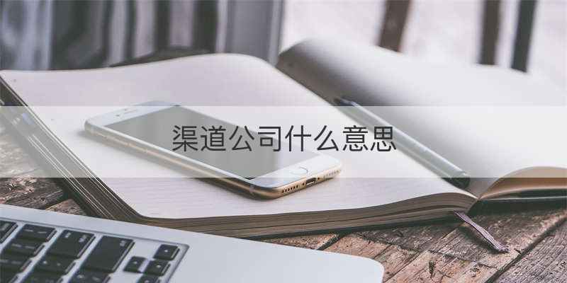 渠道公司什么意思