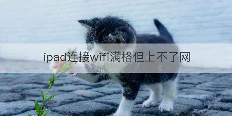 ipad连接wifi满格但上不了网