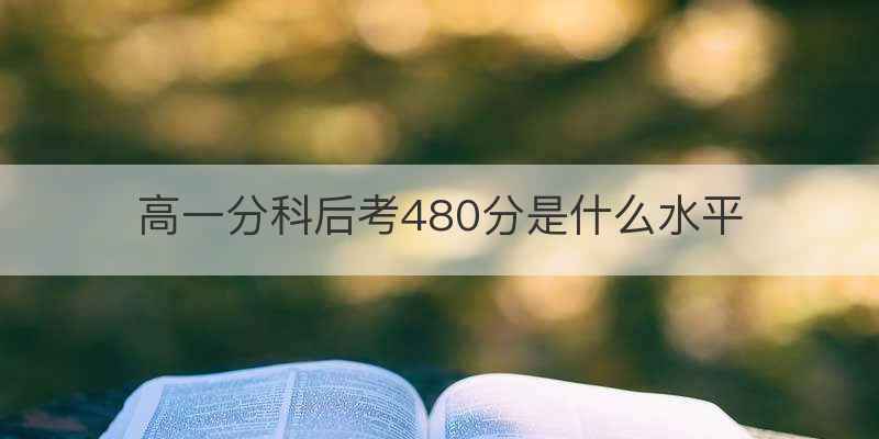 高一分科后考480分是什么水平