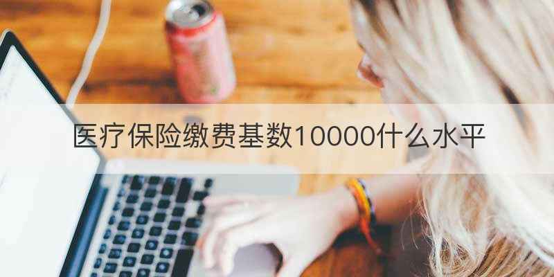 医疗保险缴费基数10000什么水平