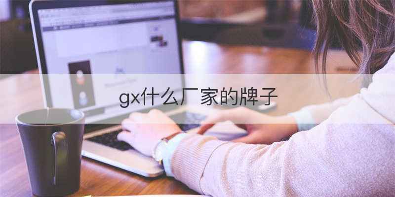 gx什么厂家的牌子