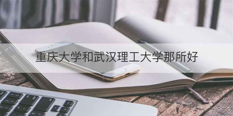 重庆大学和武汉理工大学那所好