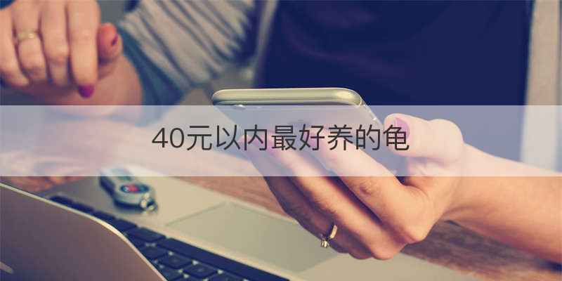 40元以内最好养的龟