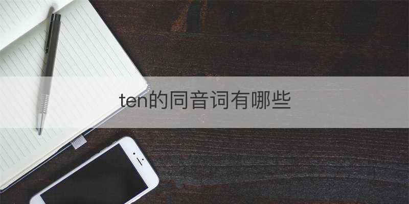 ten的同音词有哪些