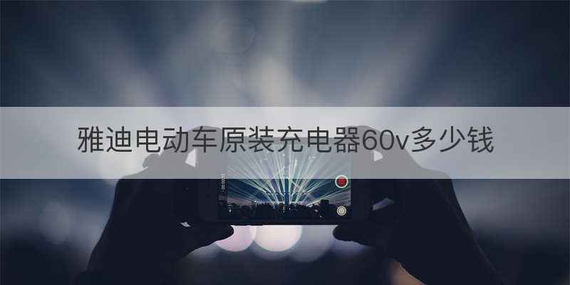 雅迪电动车原装充电器60v多少钱