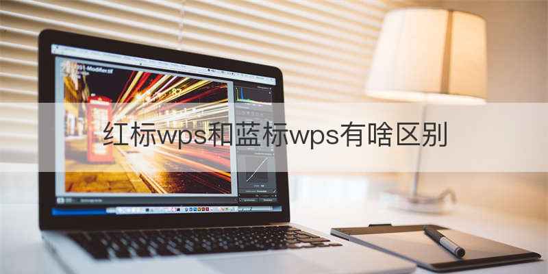 红标wps和蓝标wps有啥区别