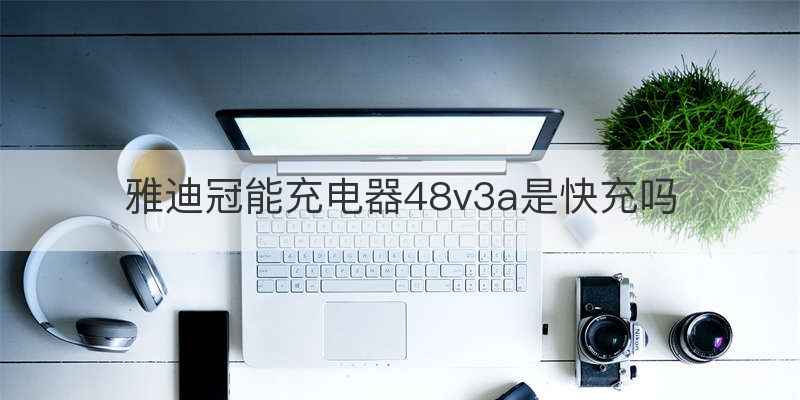 雅迪冠能充电器48v3a是快充吗