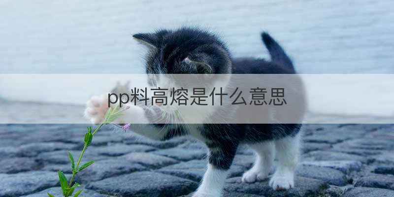 pp料高熔是什么意思