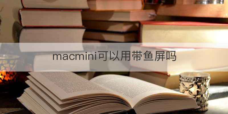 macmini可以用带鱼屏吗