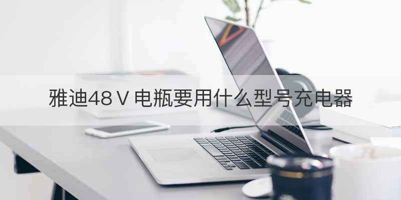 雅迪48Ⅴ电瓶要用什么型号充电器