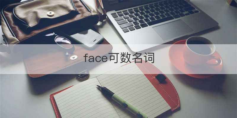 face可数名词