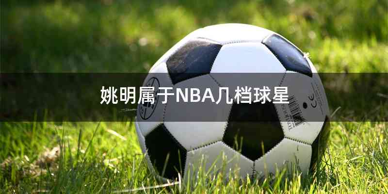 姚明属于NBA几档球星