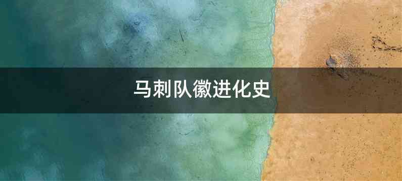 马刺队徽进化史