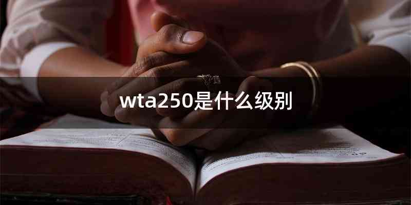 wta250是什么级别